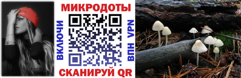 сколько стоит  Фокино  Псилоцибиновые грибы MAGIC MUSHROOMS 